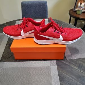 Nike Air Zoom Pegasus 36 TB - Size 16